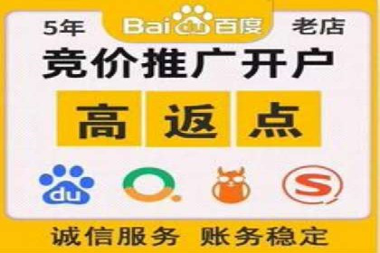 谷歌SEM实战案例：跨境电商广告投放技巧